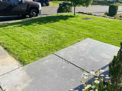 Lawn Care service in Kent, 98032