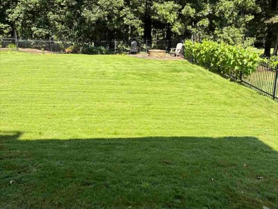 Lawn Care service in Kent, 98032
