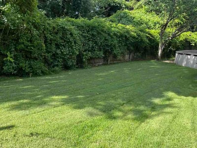 Lawn Care service in Sevierville, 37862