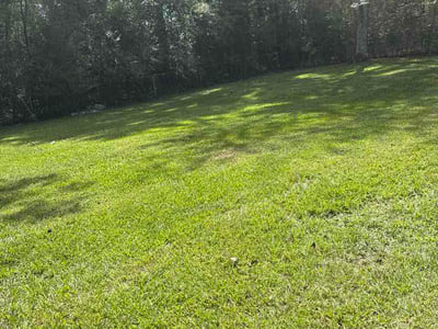 Lawn Care service in Anniston, 36201