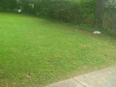 Lawn Care service in Saint Ann, 63074
