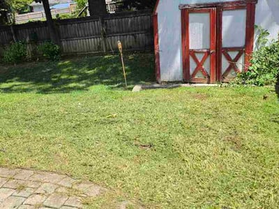 Lawn Care service in Owings Mills, 21117