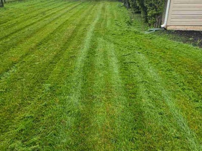 Lawn Care service in Owings Mills, 21117