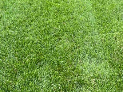 Lawn Care service in Oregon, 53575