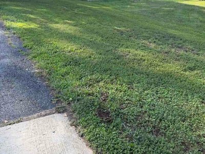 Lawn Care service in Upper Marlboro, 20772
