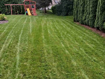 Lawn Care service in Grafton, 53024