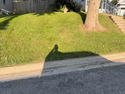 Lawn Care service in Saint Joseph, 64501