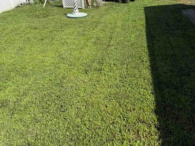 Lawn Care service in Swansea, 02777