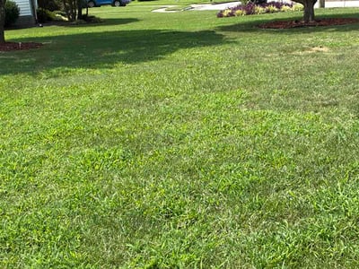 Lawn Care service in Danville, 24541