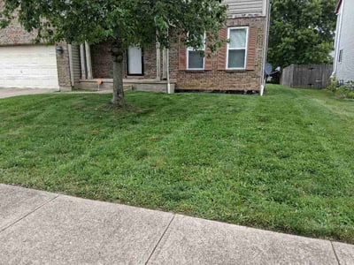 Lawn Care service in Waynesboro, 17268