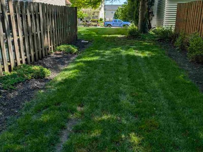 Lawn Care service in Beckley, 25813