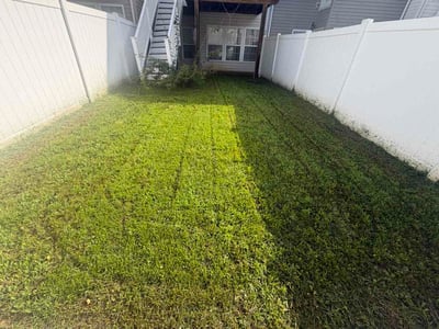 Lawn Care service in Aberdeen, 21001
