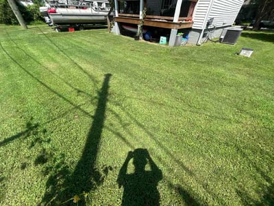 Lawn Care service in Woodford, 22580