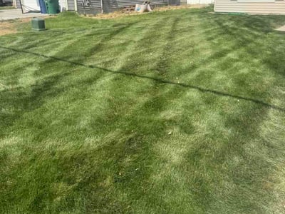 Lawn Care service in Anacortes, 98221