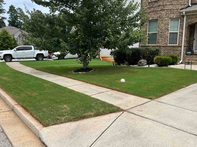 Lawn Care service in Princeton, 24740