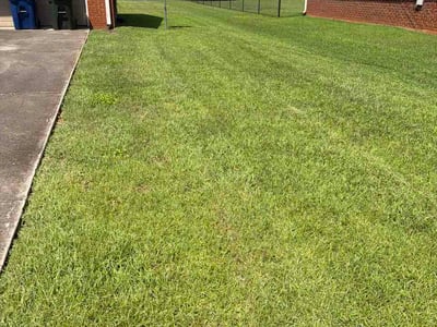 Lawn Care service in Hartselle, 35640