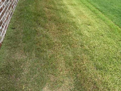 Lawn Care service in Hartselle, 35640