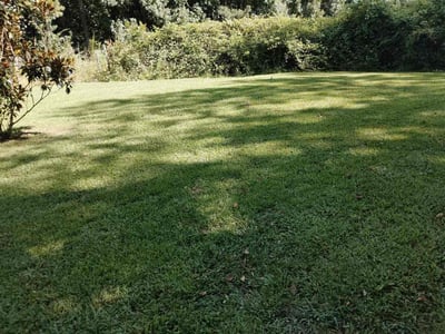 Lawn Care service in Princeton, 24740