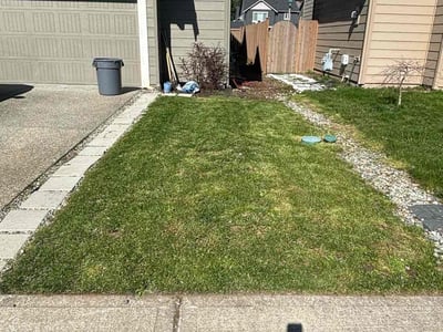 Lawn Care service in Graham, 98338