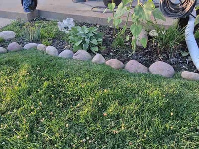 Lawn Care service in Issaquah, 98027