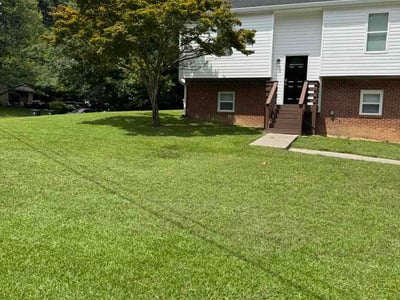 Lawn Care service in Owensboro, 42303