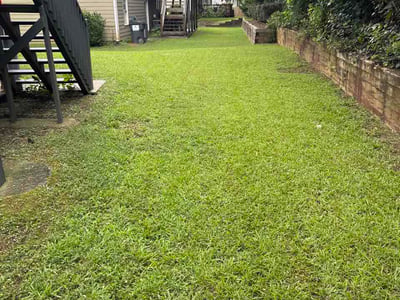 Lawn Care service in Truckee, 96161