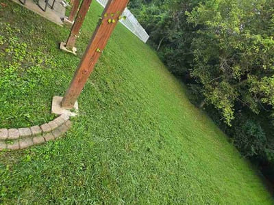 Lawn Care service in Collinsville, 62234