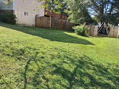 Lawn Care service in Ruther Glen, 22546