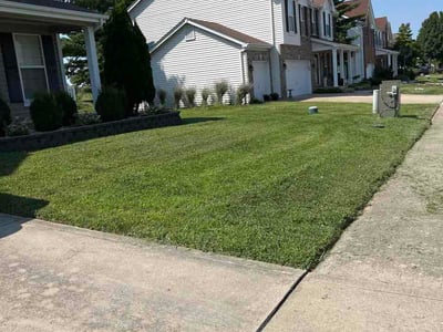 Lawn Care service in Collinsville, 62234
