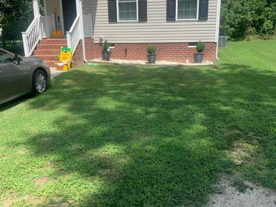 Lawn Care service in Ruther Glen, 22546