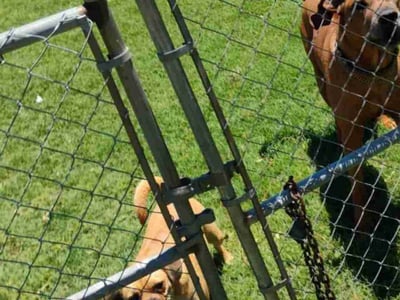 Lawn Care service in Wichita Falls, 76301