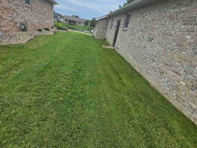Lawn Care service in Granite City, 62040