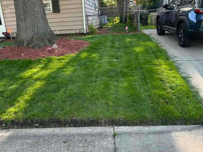 Lawn Care service in Brainerd, 56401