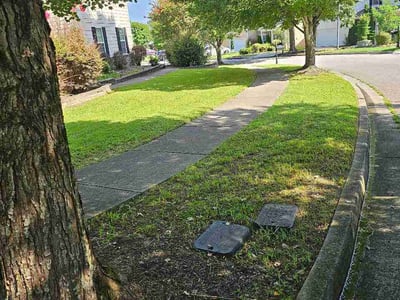 Lawn Care service in London, 40741