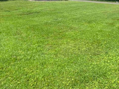 Lawn Care service in Henrico, 23294