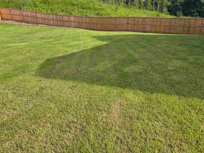 Lawn Care service in Flowery Branch, 30542