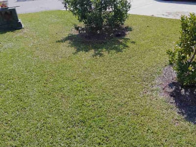 Lawn Care service in Calexico, 92231