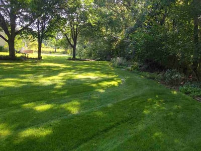 Lawn Care service in Stoughton, 53589