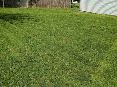 Lawn Care service in Bridgeville, 15017