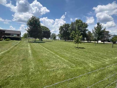 Lawn Care service in Bridgeville, 15017
