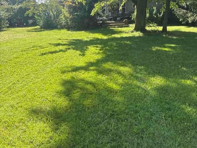 Lawn Care service in Reston, 20190