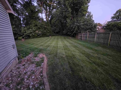 Lawn Care service in Reston, 20190