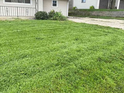 Lawn Care service in Council Bluffs, 51501