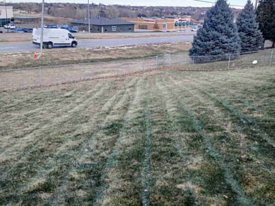 Lawn Care service in Bothell, 98011