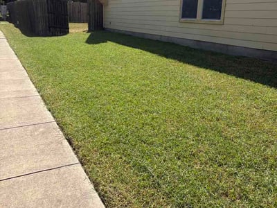 Lawn Care service in Shavano Park, 78231