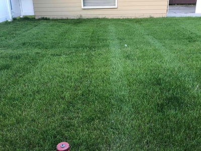 Lawn Care service in Cedarburg, 53012