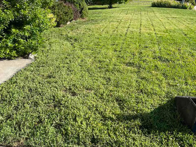 Lawn Care service in Bountiful, 84010
