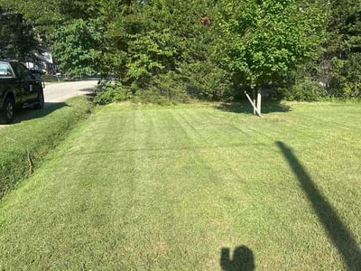 Lawn Care service in Hayes, 23072