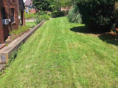 Lawn Care service in Valencia, 16059
