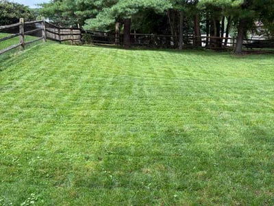 Lawn Care service in Valencia, 16059